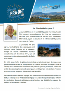 Flyer Pin de Galle page 1
