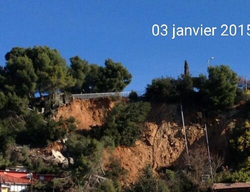 Le Pin de Galle puni : Le Pradet municipales 2026