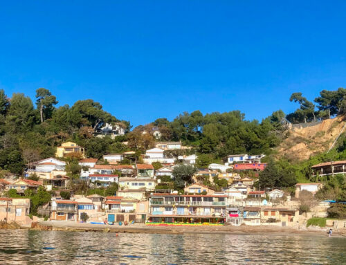 PIN DE GALLE : vers une solution durable